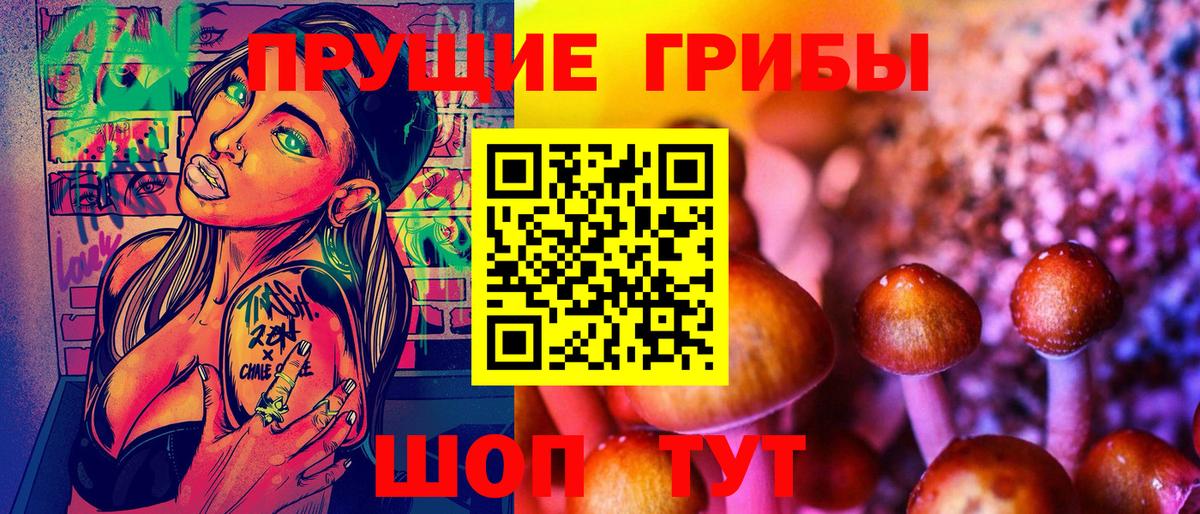 Черкесск  Галлюциногенные грибы мицелий  Вход с VPN 